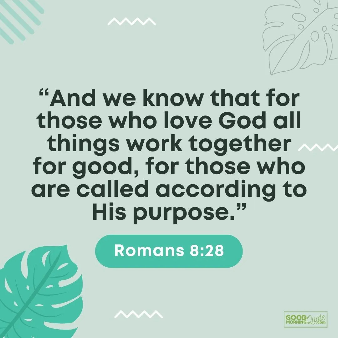 Bible Reading Zone verse images