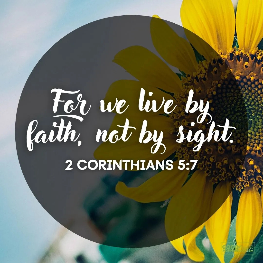 Bible Reading Zone verse images