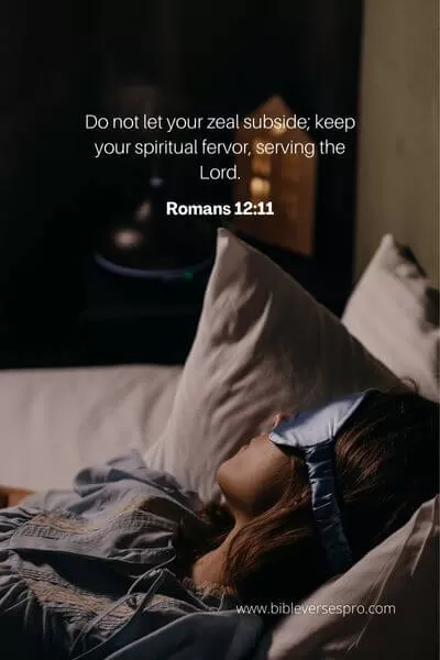 Bible Reading Zone image