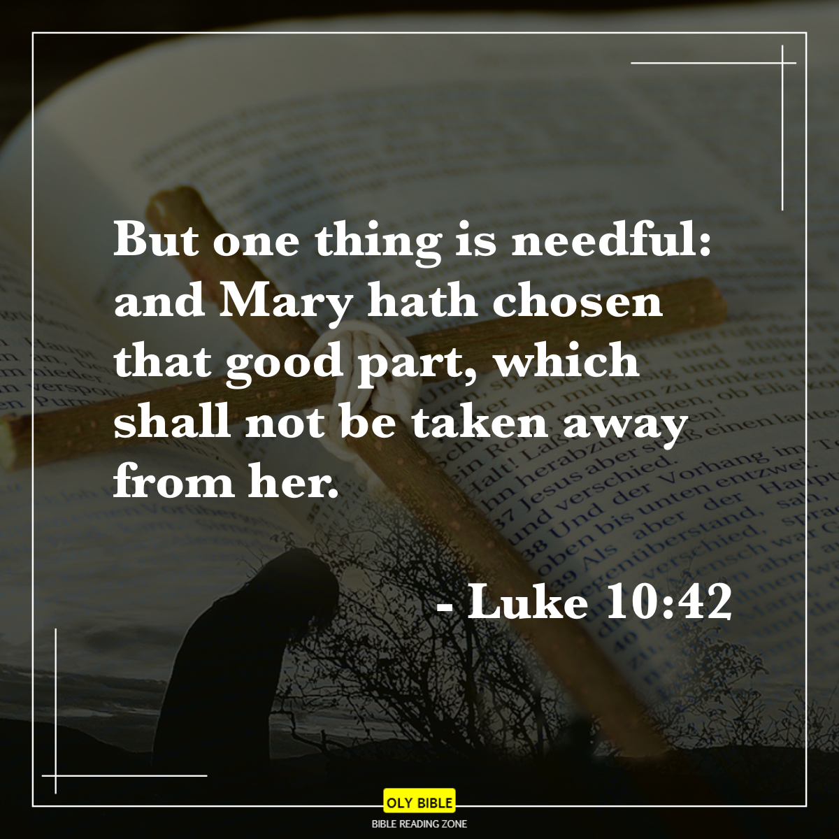 Bible Reading Zone images