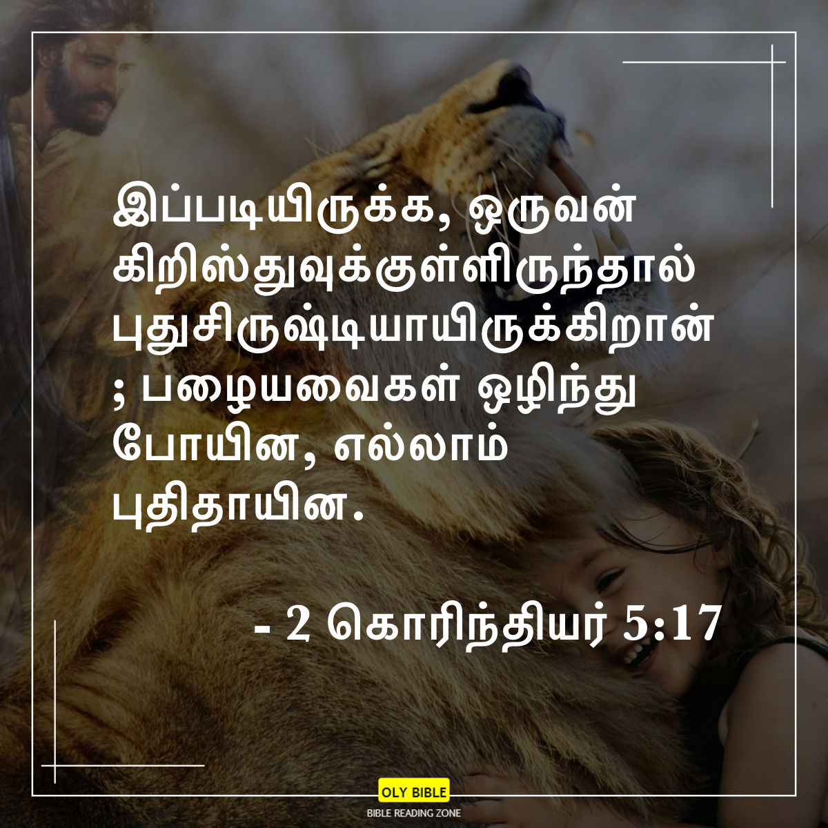 Bible Reading Zone images