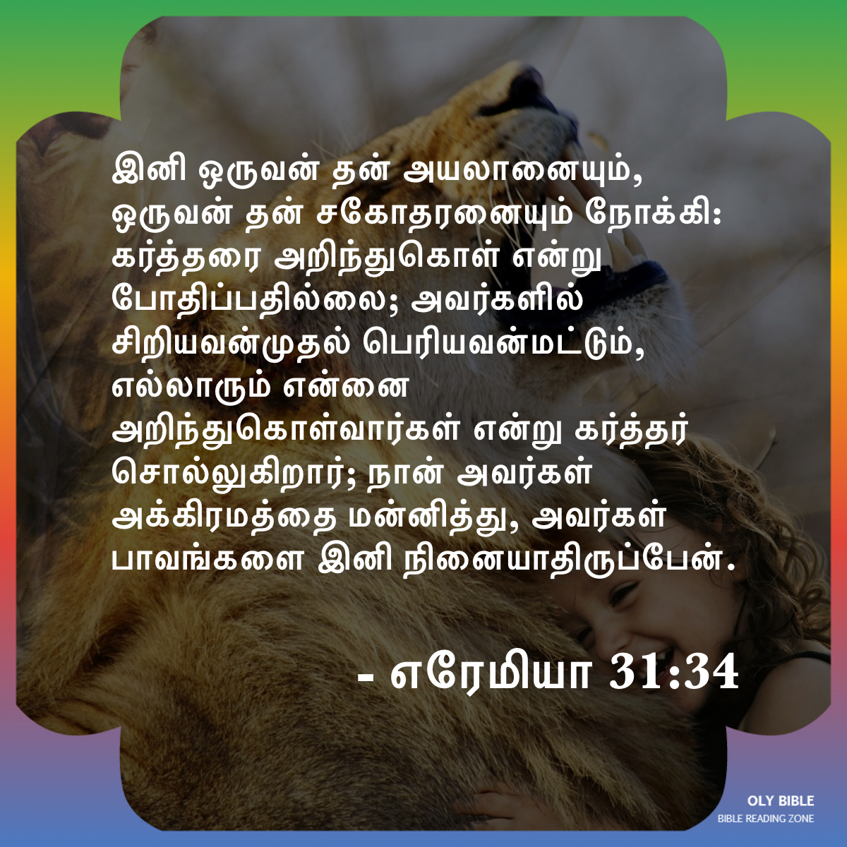 Bible Reading Zone images