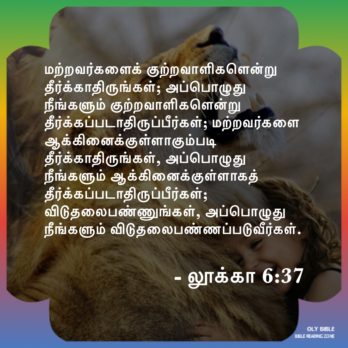 Bible Reading Zone images