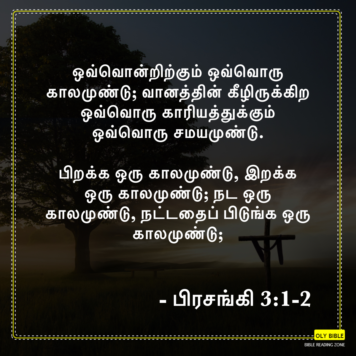 Bible Reading Zone images