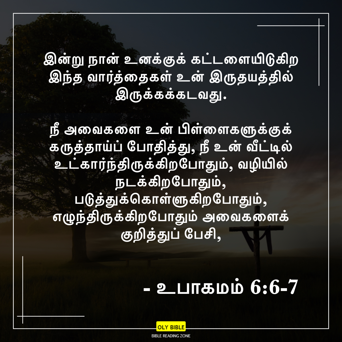 Bible Reading Zone images