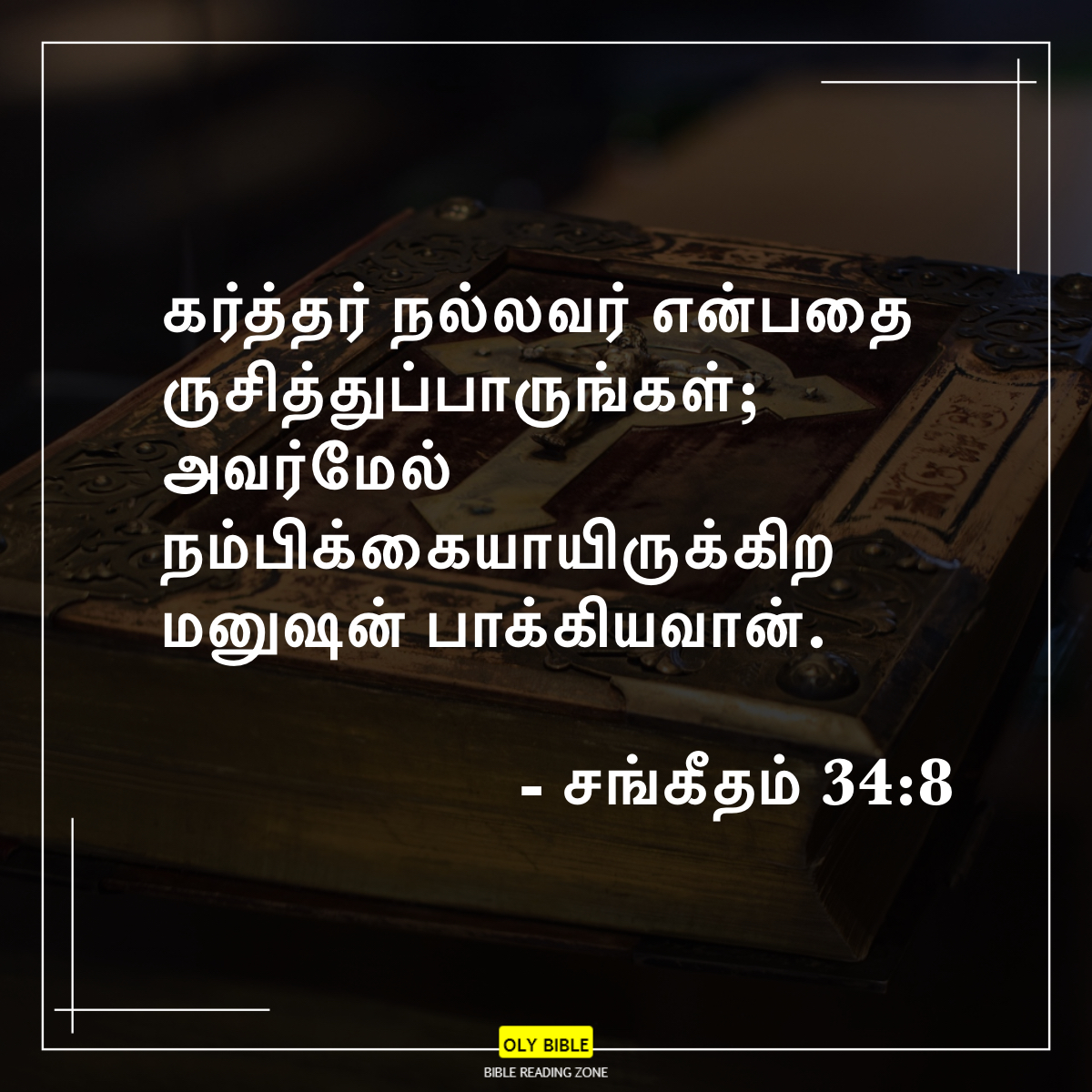 Bible Reading Zone images