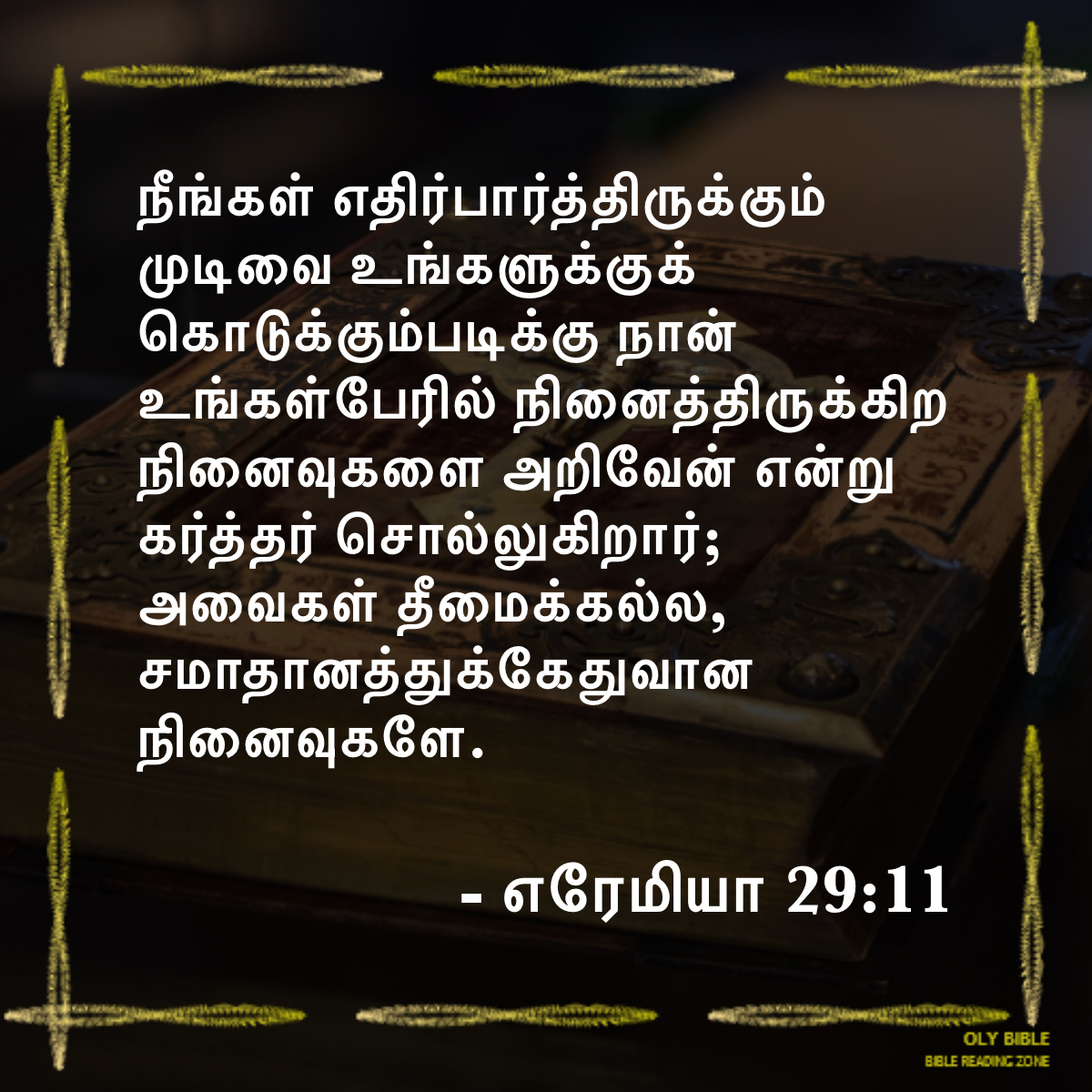 Bible Reading Zone images