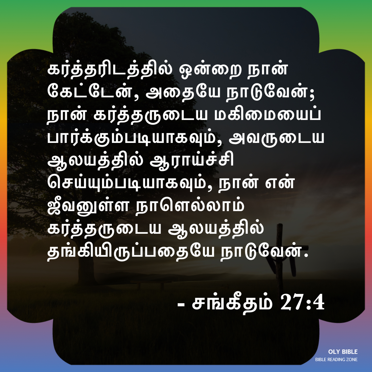 Bible Reading Zone images