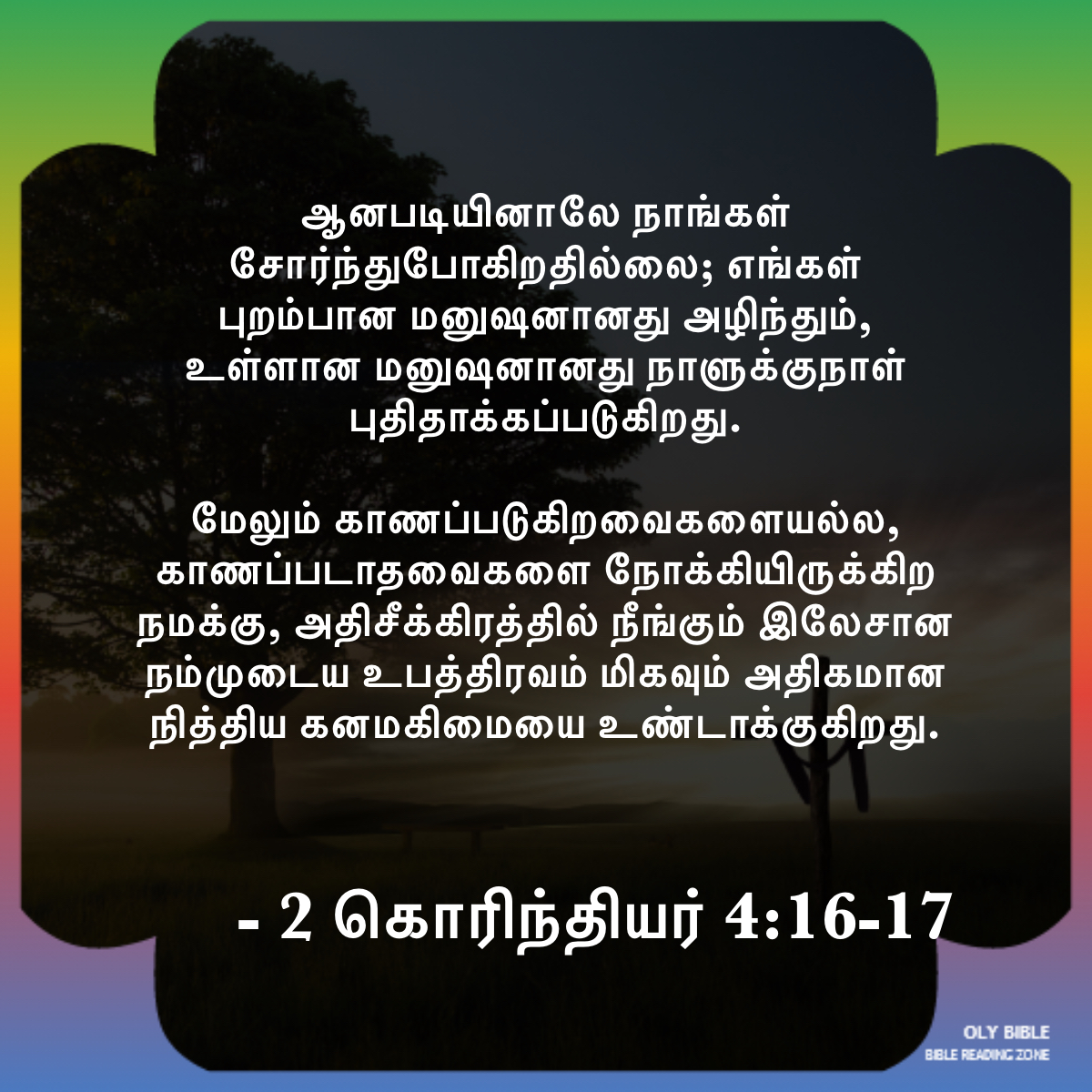 Bible Reading Zone images