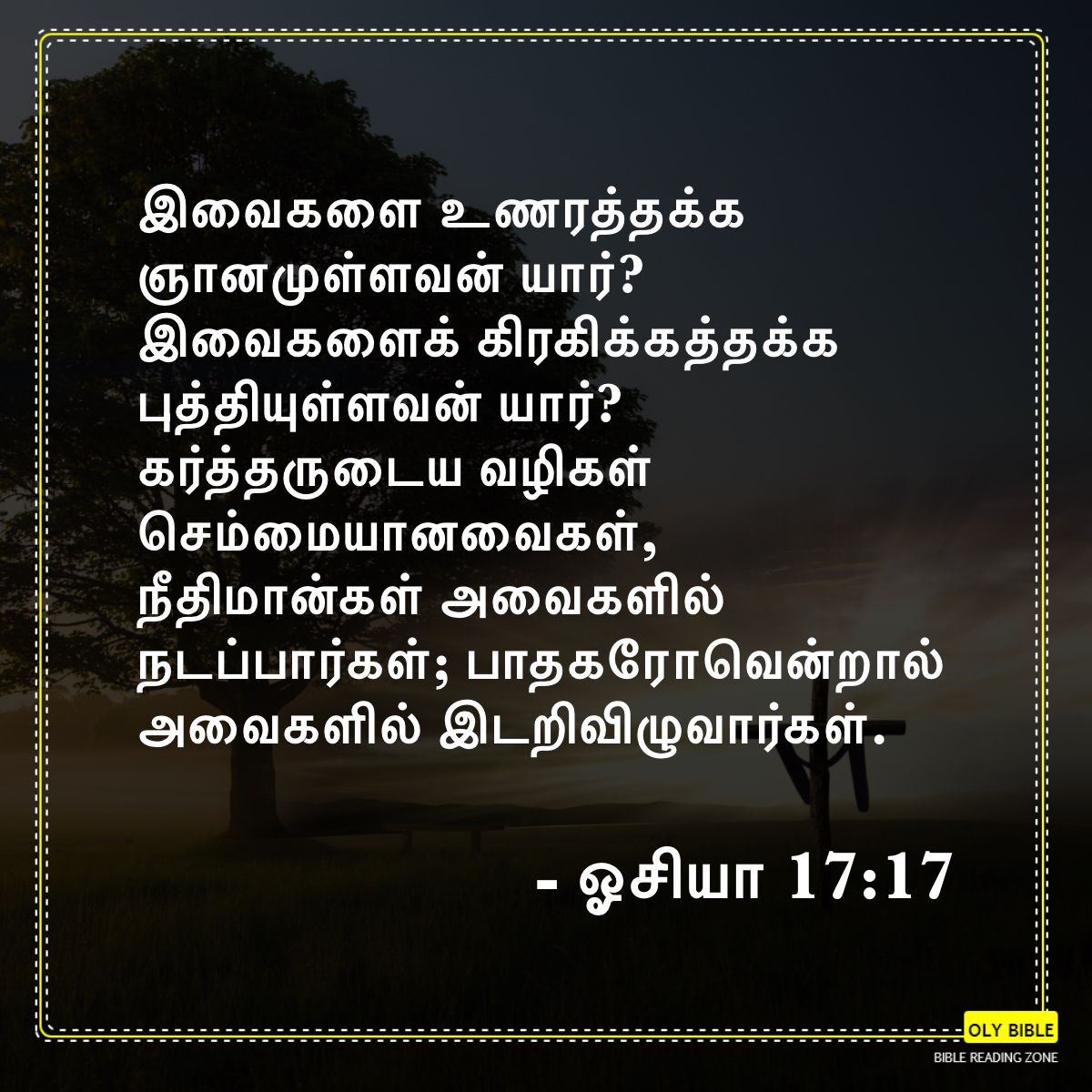 Bible Reading Zone images