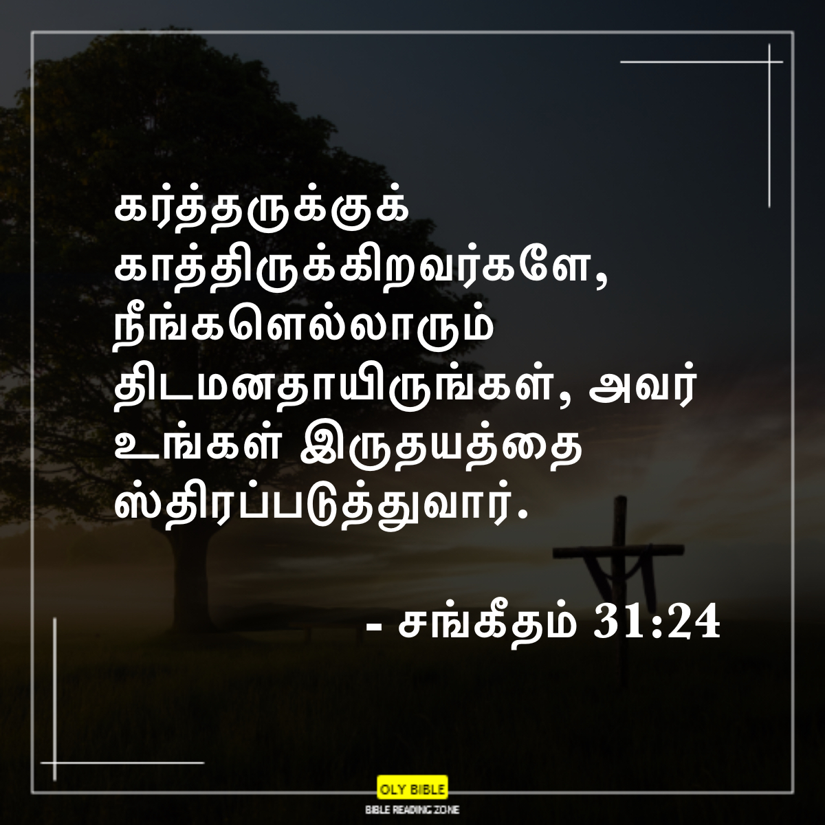 Bible Reading Zone images