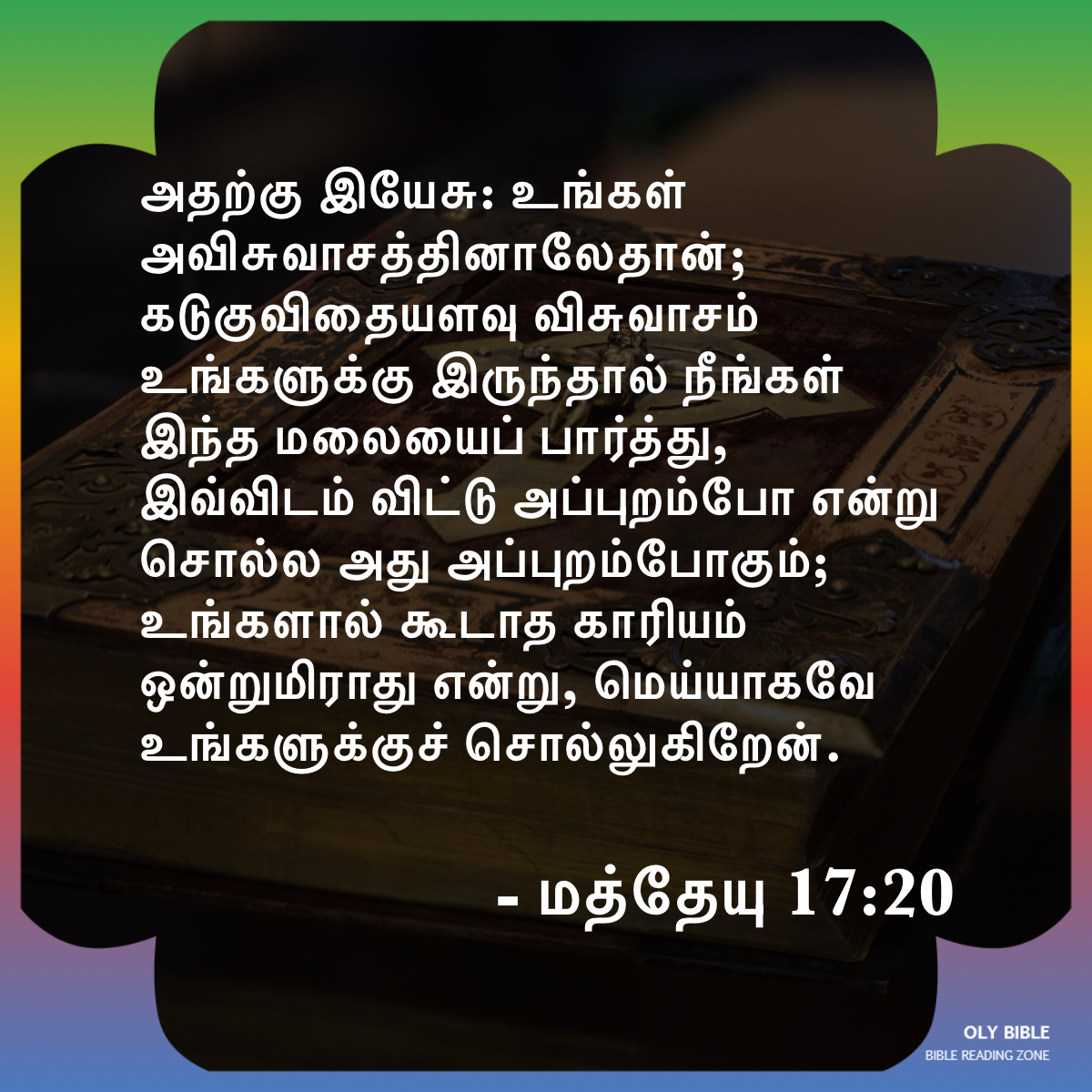 Bible Reading Zone images