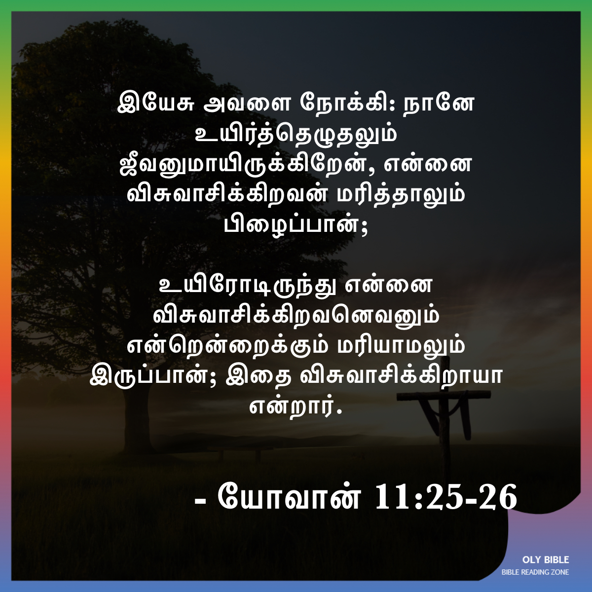 Bible Reading Zone images