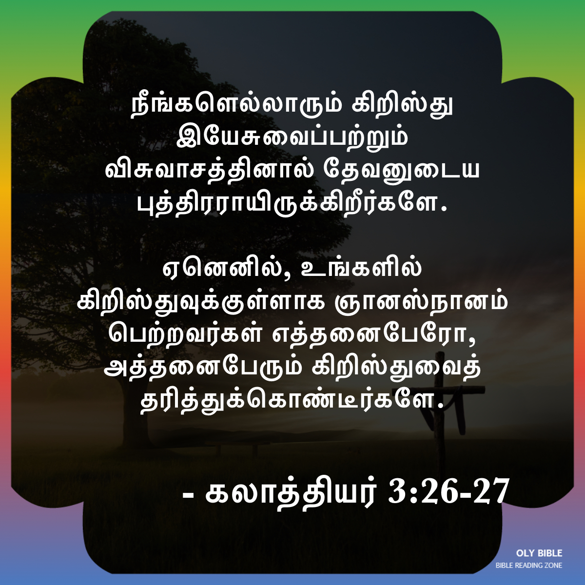 Bible Reading Zone images