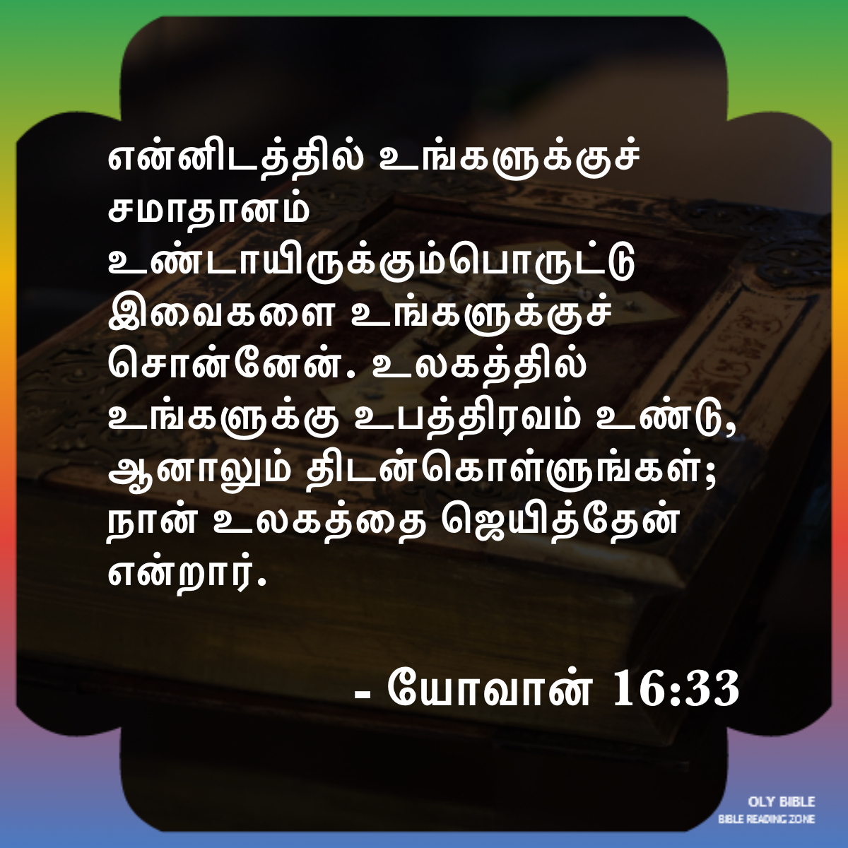 Bible Reading Zone images