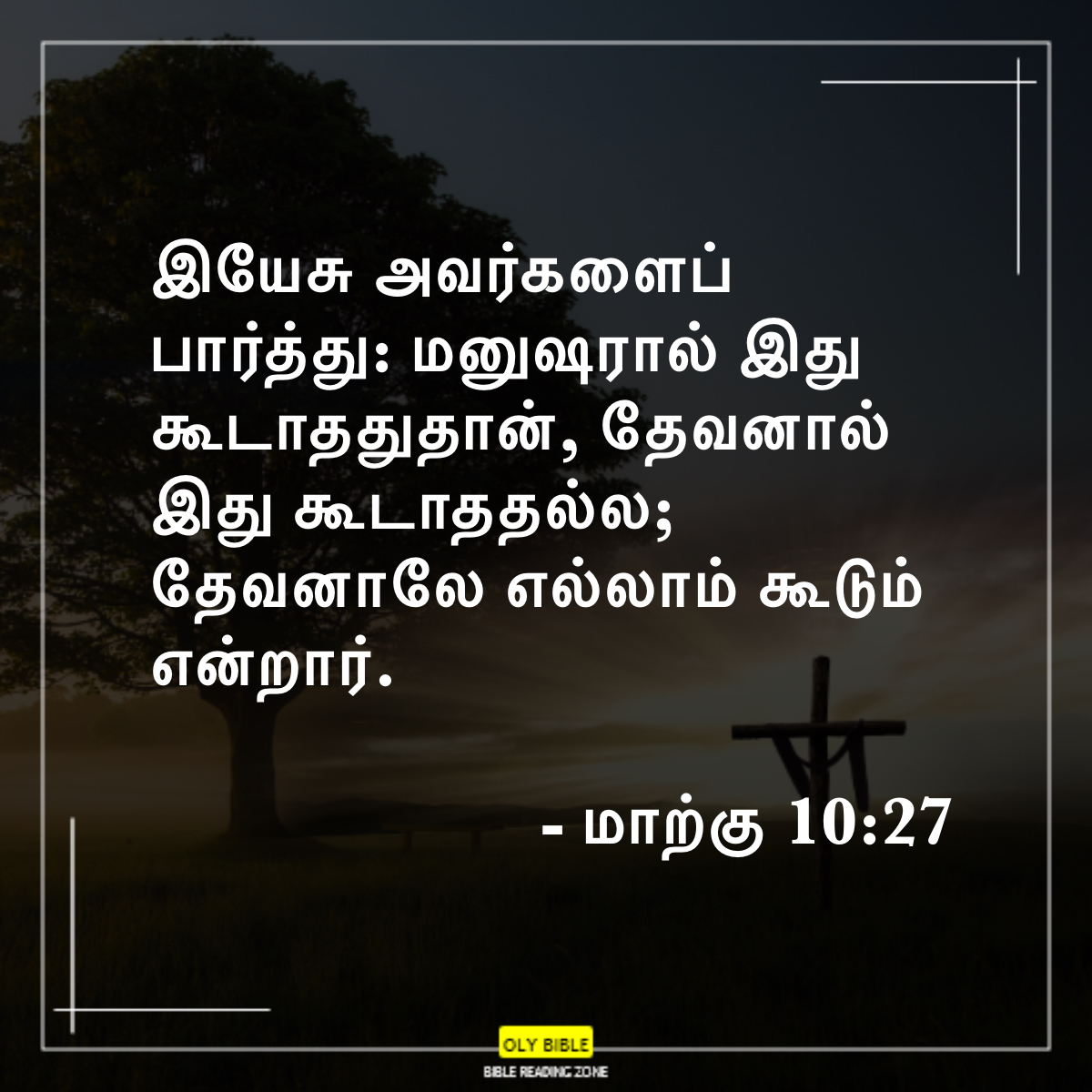 Bible Reading Zone images