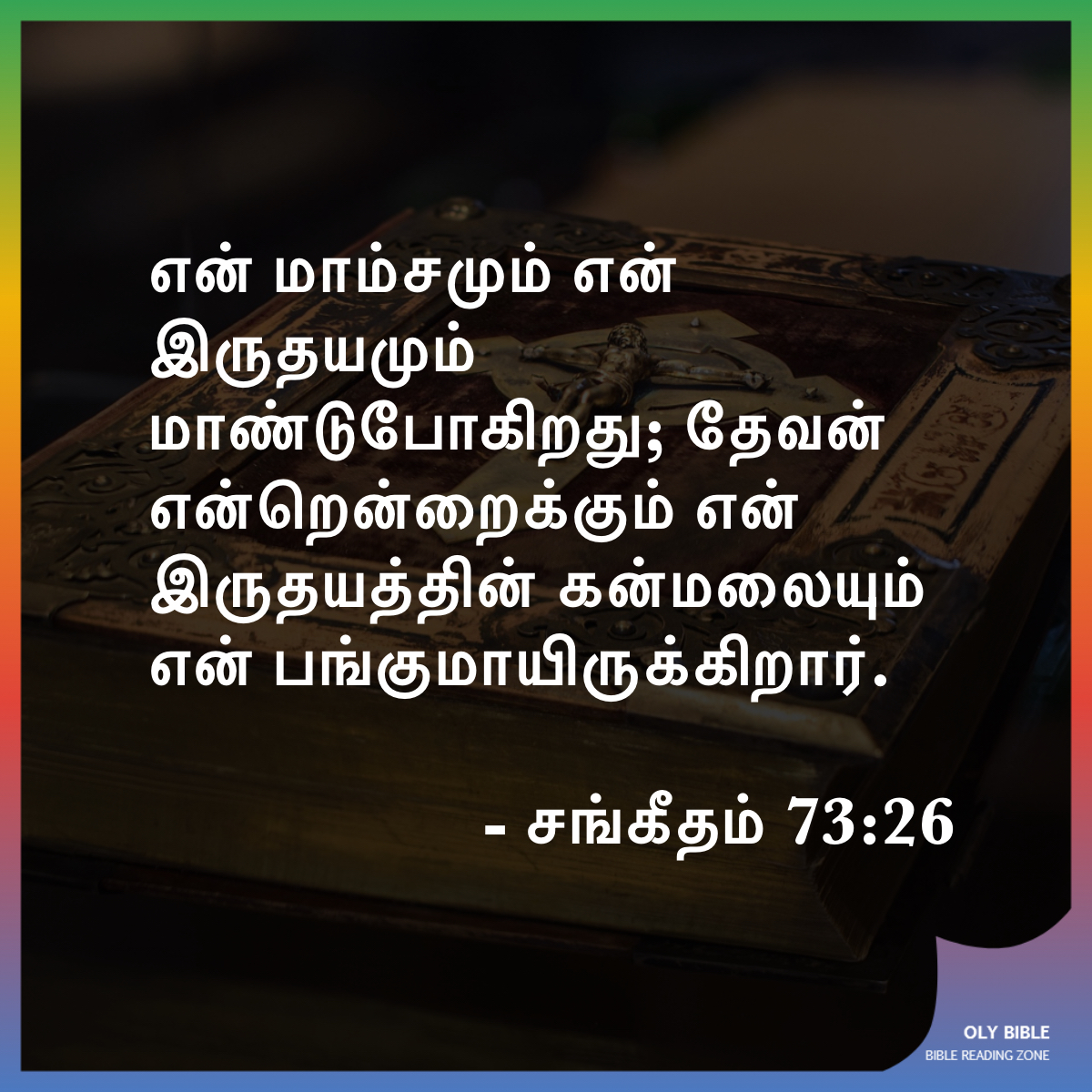 Bible Reading Zone images