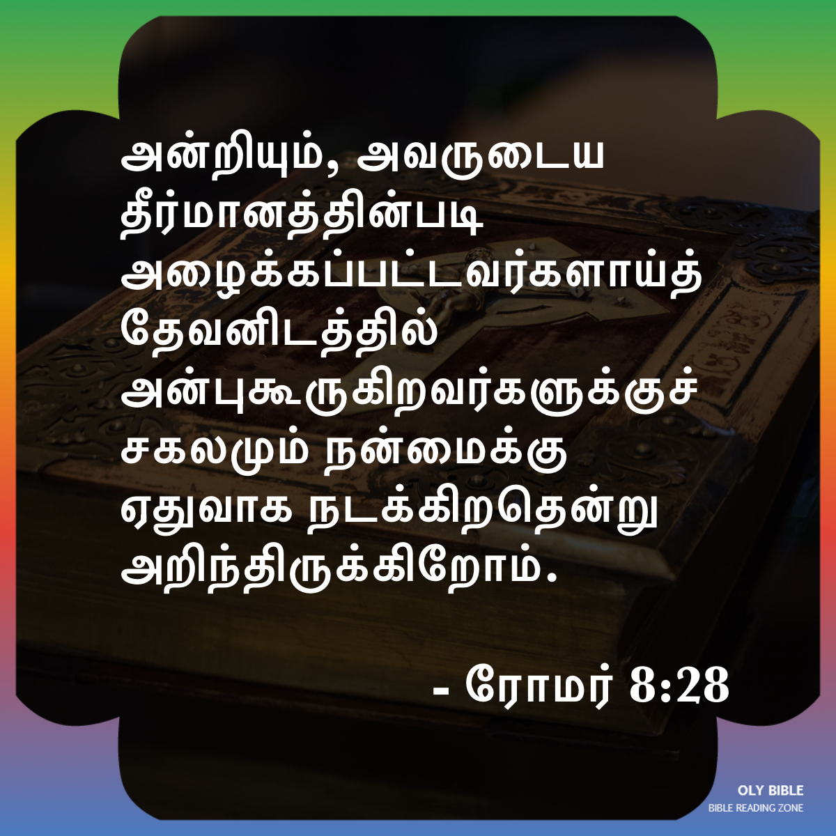 Bible Reading Zone images