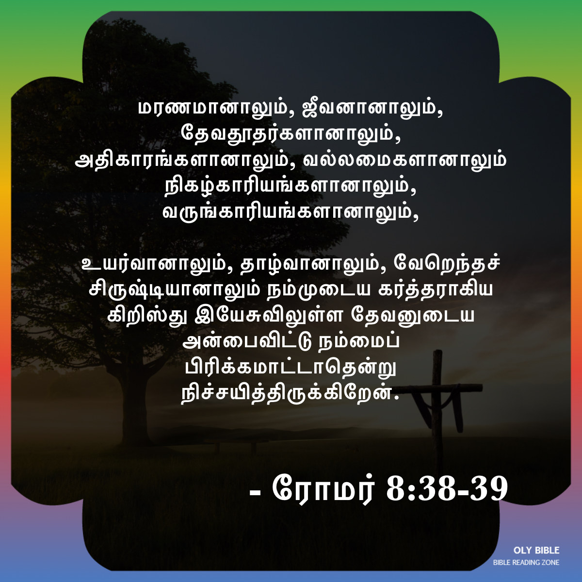 Bible Reading Zone images