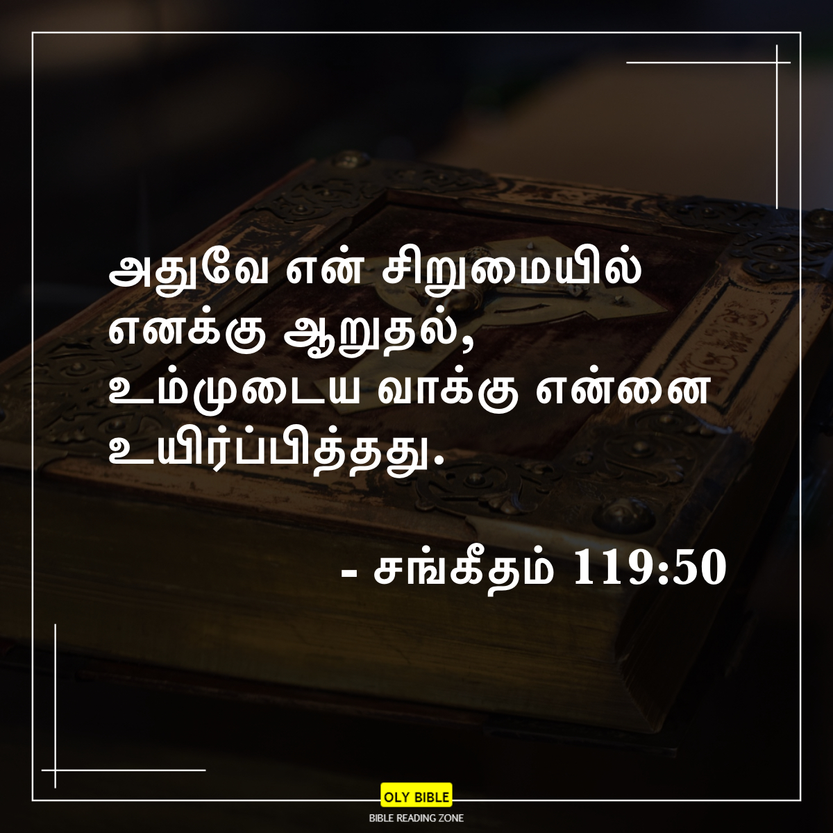 Bible Reading Zone images