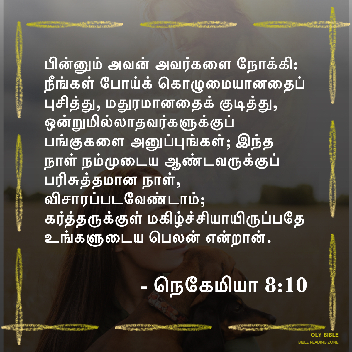 Bible Reading Zone images